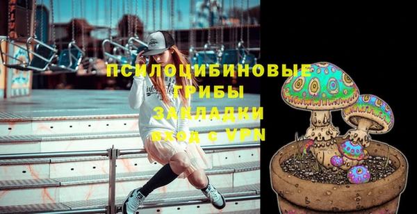ешки Арсеньев