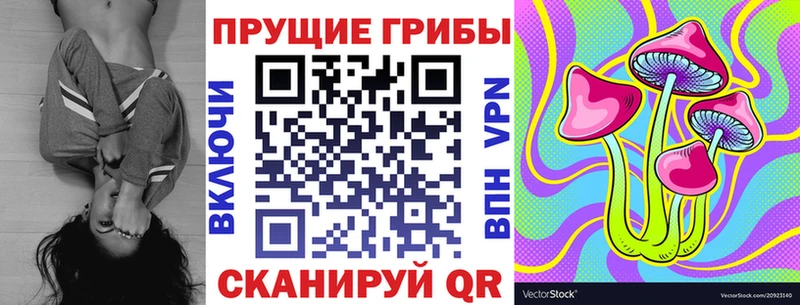 купить наркотики цена  Валдай  Галлюциногенные грибы мицелий 