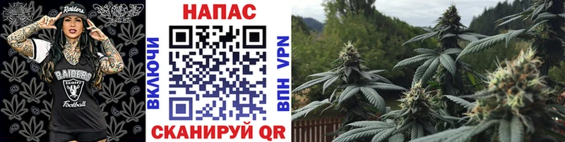Каннабис марихуана  Валдай 